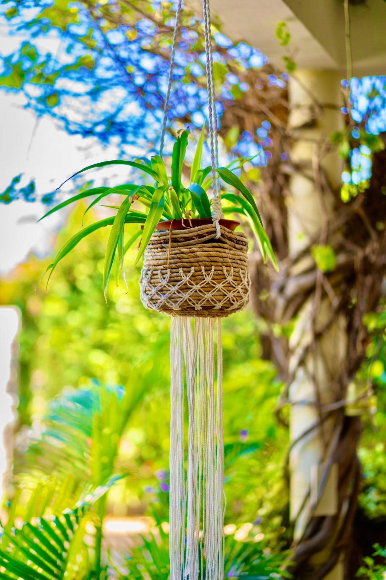 Cozy Home ريفير نوار المظهر الخارجي الصورة
