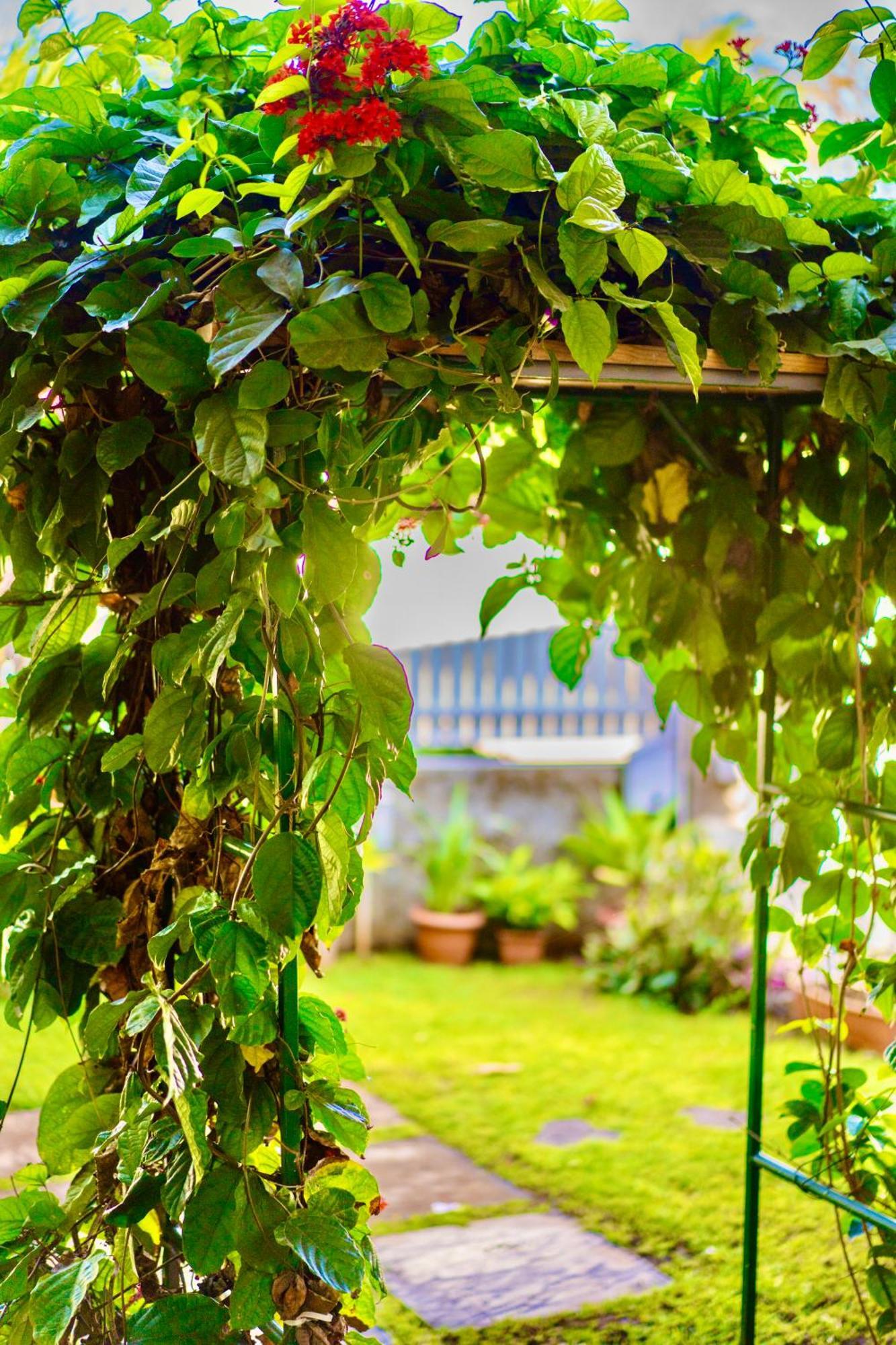 Cozy Home ريفير نوار المظهر الخارجي الصورة